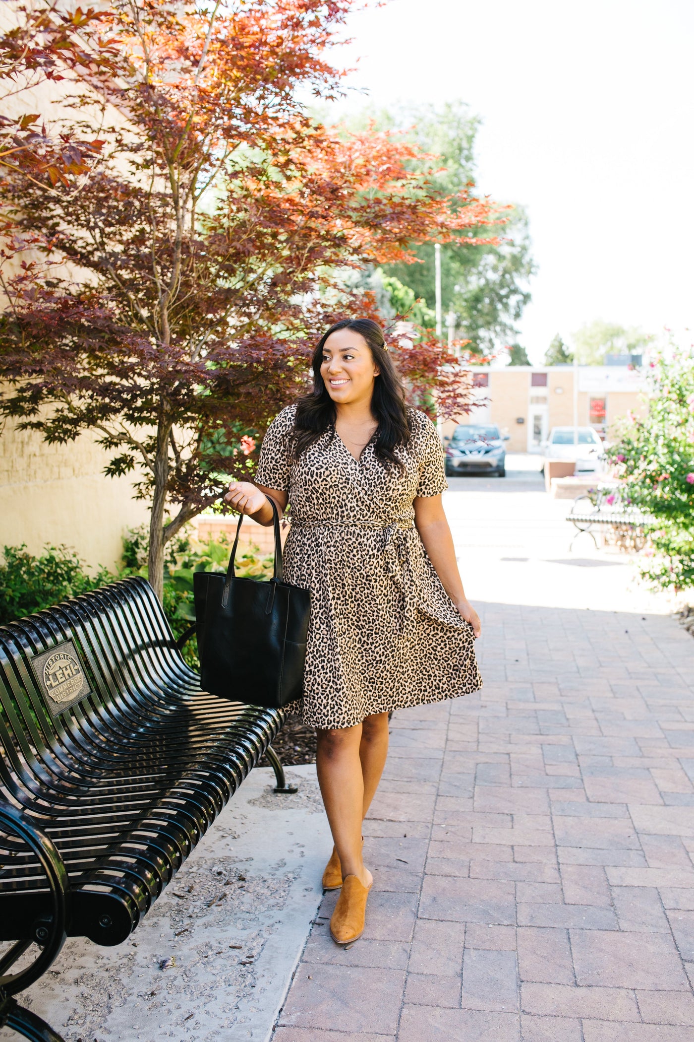 Hot Spot Leopard Print Dress