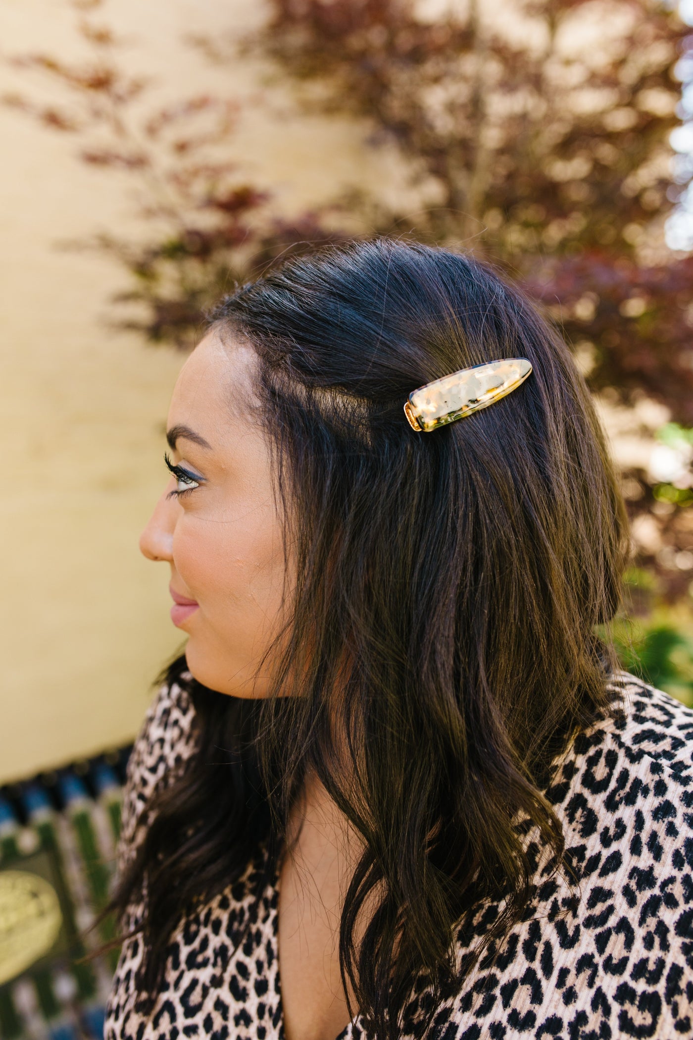 Tortoise Shell Hair Clips